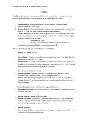 Apuntes De Introducci N Al Derecho Pdf