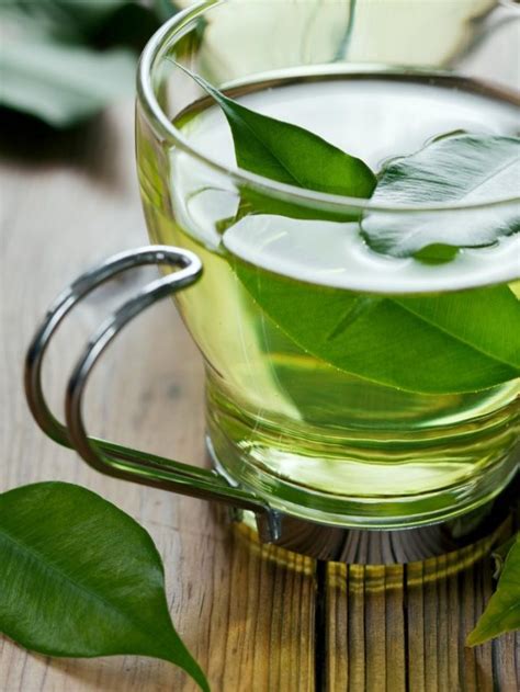 8 Green Tea Health Benefits You Should Know Tradeindia