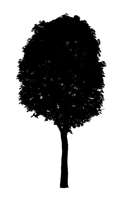 7 Black Tree PNG Image Transparent | OnlyGFX.com