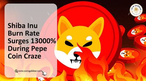 Shiba Inu Coins Burn Rate Skyrockets By 13000 Amid Pepe Coin Hype