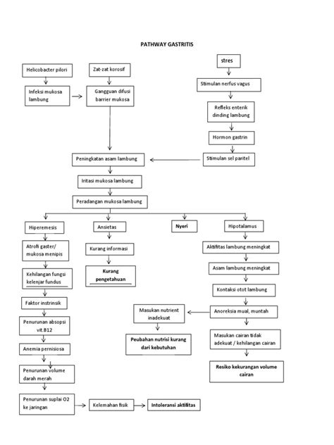 Pathway Gastritis Pdf