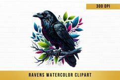 10 PNG Ravens Watercolor Clipart Sublimation Graphics Png