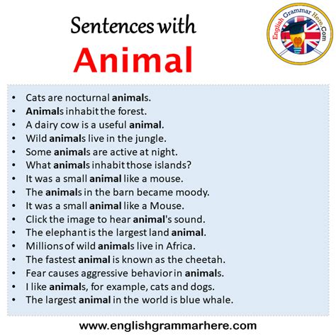 Sentences With Animal Animal In A Sentence In English Sentences For