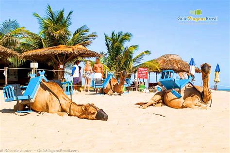 Fotos Das Dunas De Genipabu Veja As Imagens