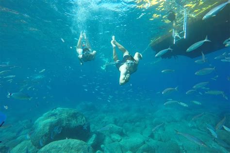 Tripadvisor 3h Boat Trip Snorkeling In Puerto De Mogan Provided By