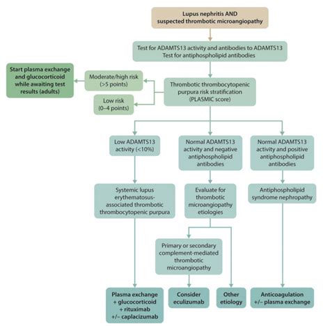 The 2021 Kdigo Gn Guidelines — Nephjc