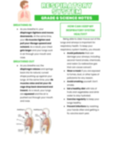 Solution Respiratory System Grade 6 Science Notes Studypool