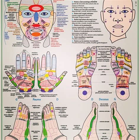 Apprenez La Réflexologie Dans Les 5 Prochaines Minutes Reflexologie