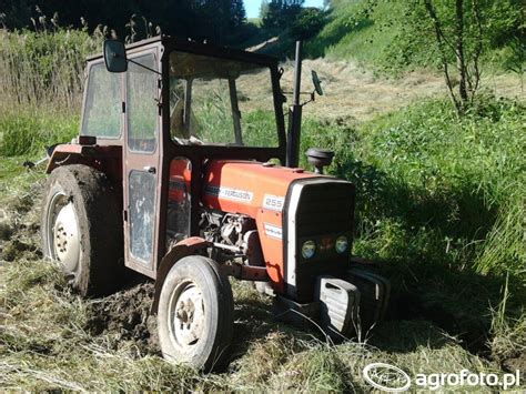 Obraz Ciagnik Massey Ferguson 255 Id 571222 Galeria Rolnicza Agrofoto