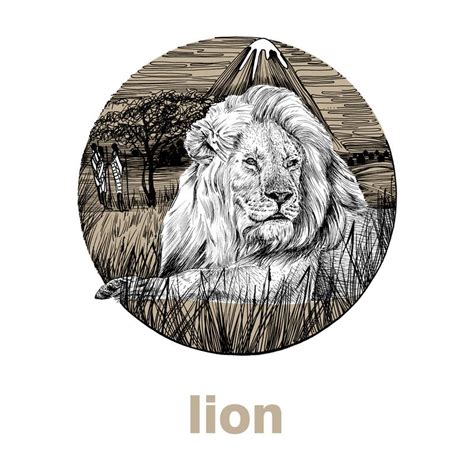 Lion Tracing Stock Illustrations 308 Lion Tracing Stock Illustrations