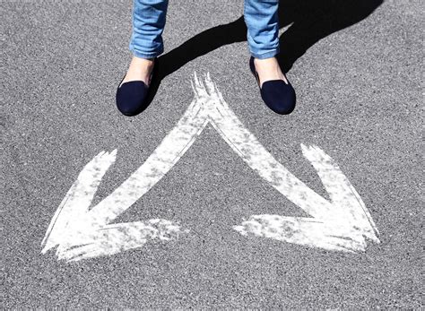 dossier    toujours le choix journal le nord