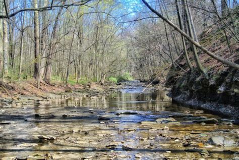 Free Images Tree Outdoor Creek Wilderness Wood River Valley