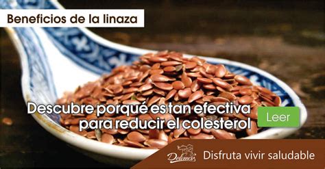 Linaza Propiedades Beneficiosas Para La Salud Cardiovascular Blog