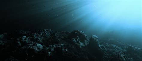 Dark Ocean Floor Wallpaper