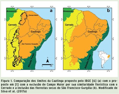 Caatinga legado trajetória e desafios rumo à sustentabilidade