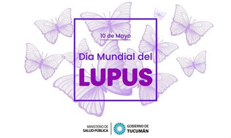 Cada De Mayo Se Celebra El D A Mundial Del Lupus Qu Es Y Cu L Es