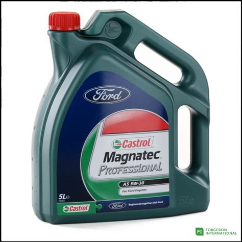 Motorno Ulje Castrol Magnatec Professional W L