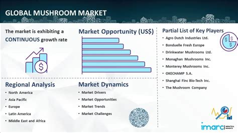 Mushroom Market Size Share Analysis Forecast 2032