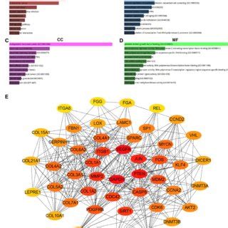 Kegg Pathway Enrichment Go Functional Annotation And Ppi Network