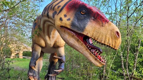 Neue Raubsaurier Ausstellung Im Dinopark Teufelsschlucht Swr