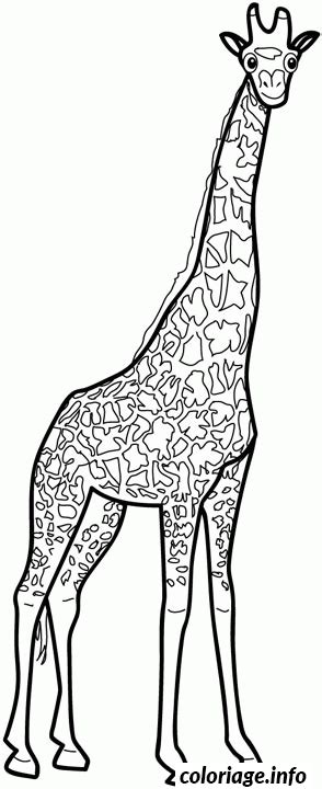 Coloriage Dessin Animaux Girafe Jecolorie