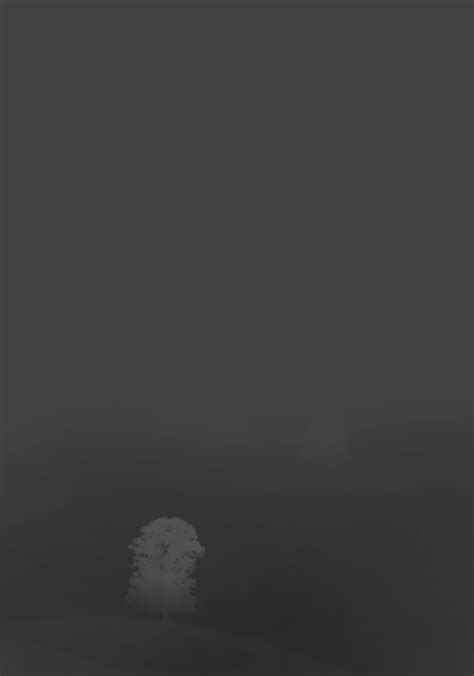 photo-1567675236973-5e053566a5dd - The Bohning Company