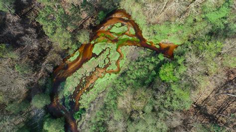 Les Vallées de la Leyre Un joyau de nature à explorer en Gironde