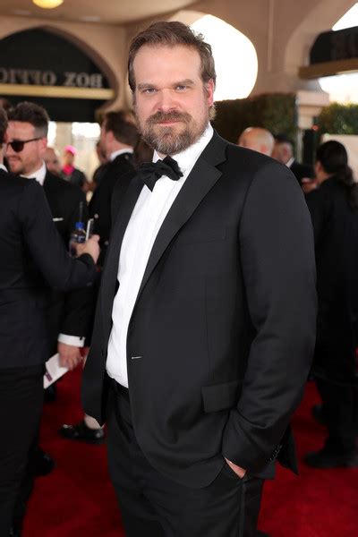 David Harbour | Marvel Cinematic Universe Wiki | Fandom