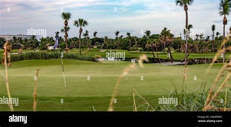 Early Morning At Palm Beach Golf Course A Par 3 Course Bordered By The