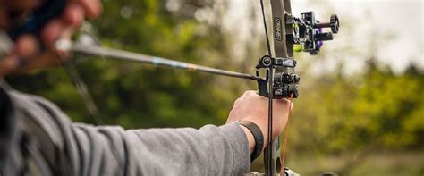 Essential Archery Gear for Beginners | Sportsman's Warehouse