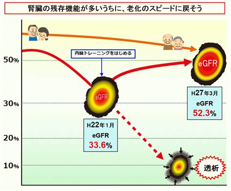 老化のスピード 自分で腎臓病を治す、クレアチニンを下げるための支援を行う内臓トレーニング協会