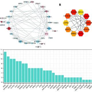 Pathway analysis and functional analysis of differentially expressed ...