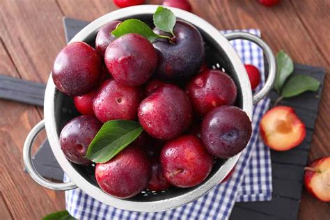 10 Benefits Of Eating Plums For Your Body Minneopa Orchards