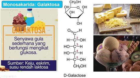 Makromolekul Karbohidrat 2a Youtube