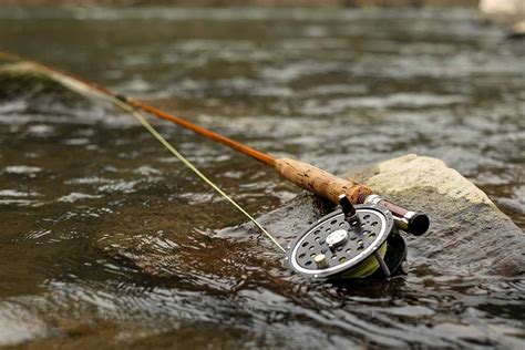 Whats The Best Fly Rod And Reel For A Beginner