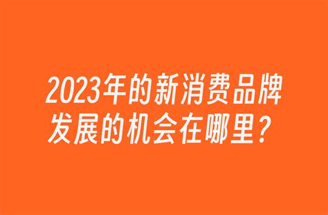 2023年的新消费品牌发展的机会在哪里？