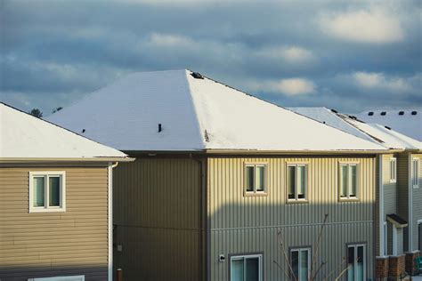 Why Roof Leaks Invite Winter Pests - West Termite, Pest and Lawn
