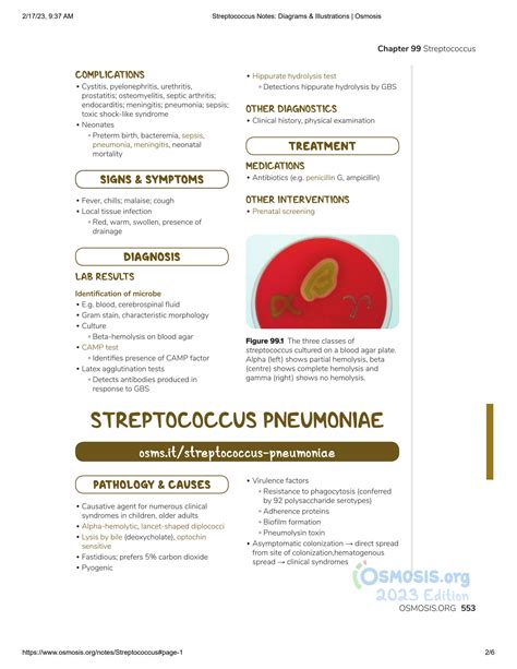 SOLUTION Streptococcus Notes Diagrams Illustrations Osmosis Studypool