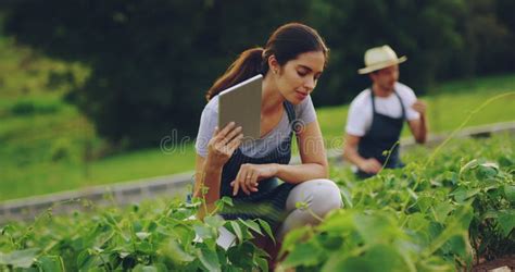 Agriculture Farm And Couple With A Tablet Inspection And Checklist