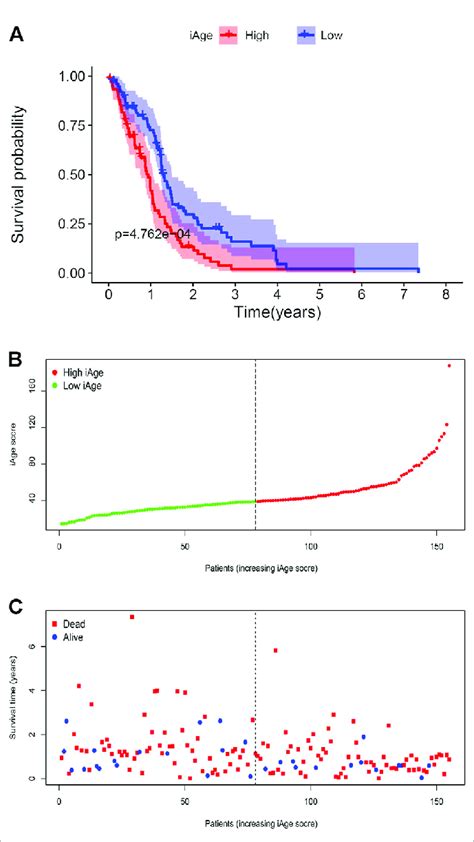 GBM Subtype Classification Based On IAge A Kaplan Meier Survival