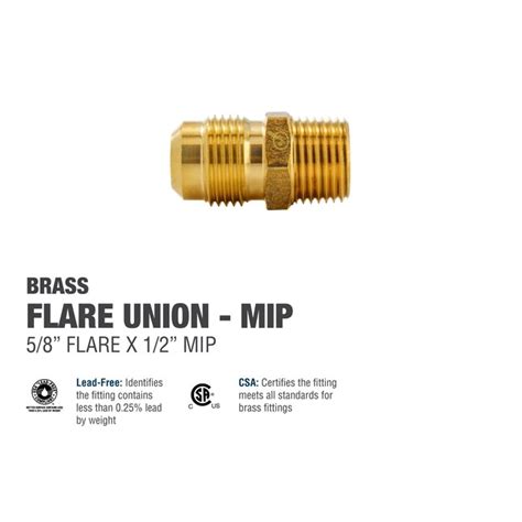 Proline Series 58 In X 12 In Threaded Flare X Mip Adapter Union