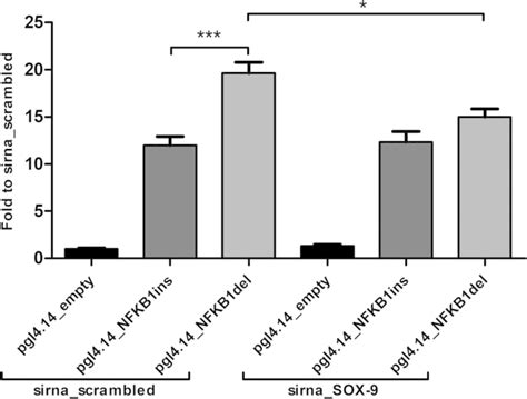 The selected transcription factor SOX9 modulates NFκB1 promoter