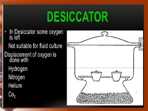 kultur bakteri isolasi  inokulasi kultur bakteri