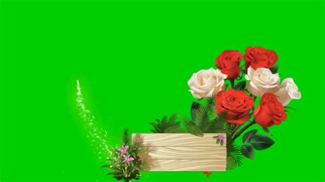 Flower Green Screen Background Effects Greenscreen Effects