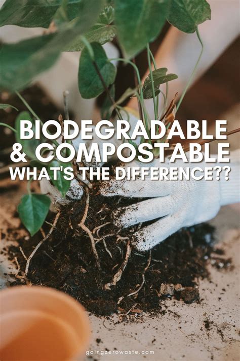 Biodegradable Vs Compostable What S The Difference Going Zero Waste