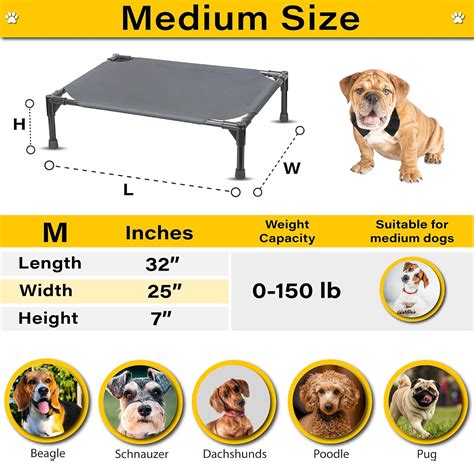 Moonlight Cama Elevada Para Perros Cama Elevada De Enfriamiento Para