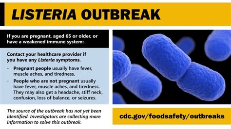 A Guide for Companies on Listeria Food Recalls | Shapiro