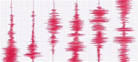 Seismogram earthquake graph. Oscilloscope waves, seismograms waveform