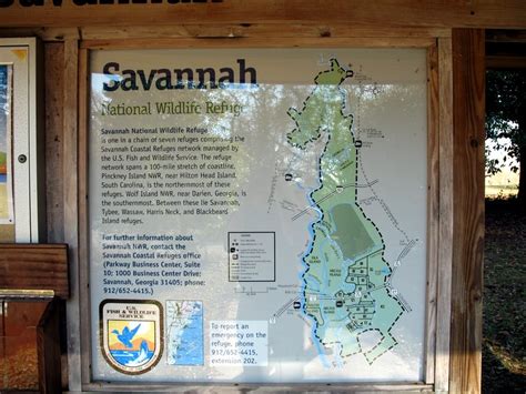 savannah national wildlife refuge