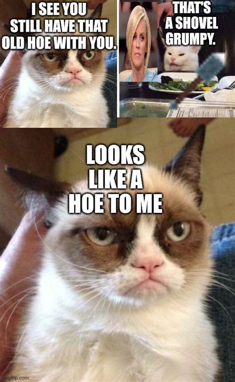 Image Tagged In Smudge The Cat Memes Grumpy Cat Reverse Imgflip